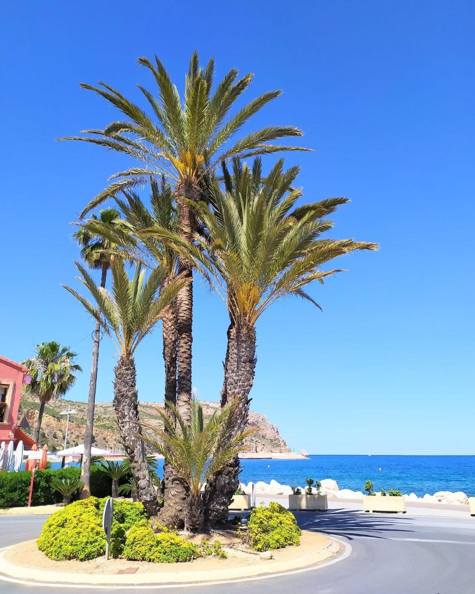 Javea Arenal Beach 外观 照片